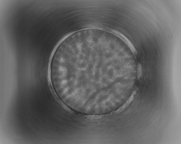 X0000102520812200809051442