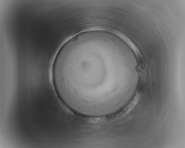 X0000102520813200809051442