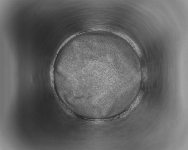 X0000102520814200809051442