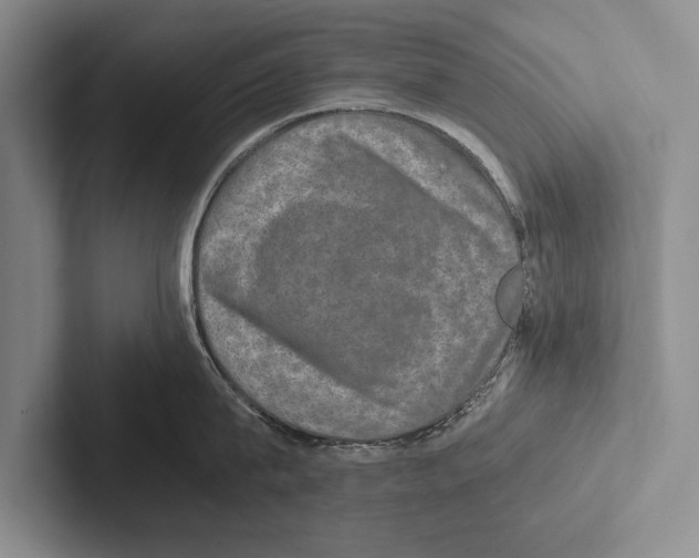 X0000102520815200809051442