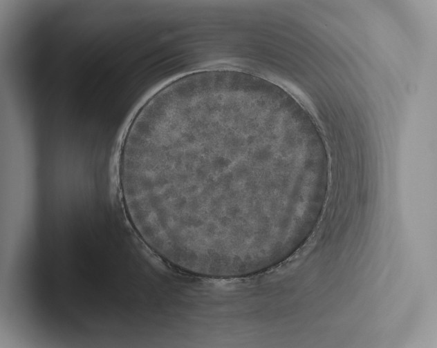 X0000102520816200809051442