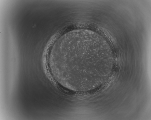 X0000102520817200809051441