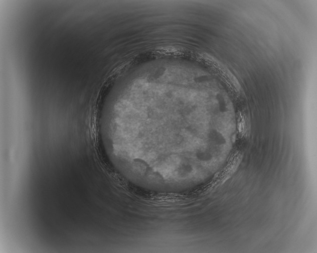 X0000102520819200809051441