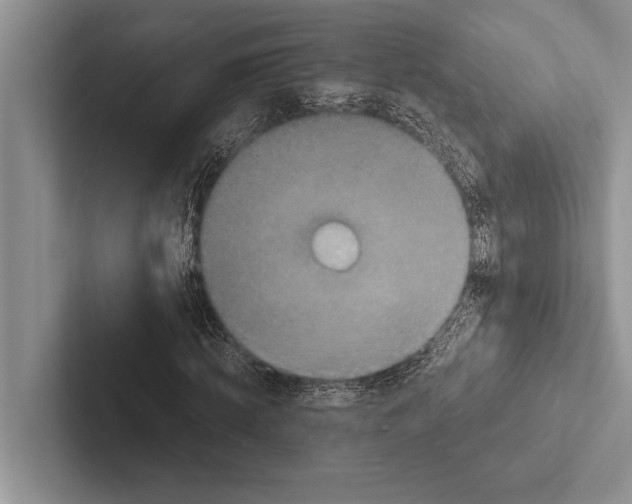 X0000102520820200809051441