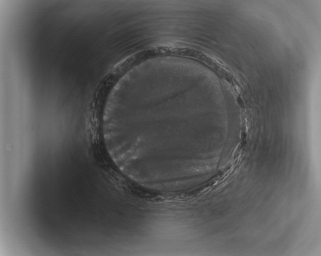 X0000102520822200809051441