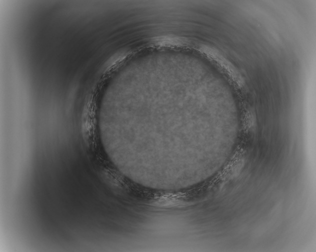 X0000102520824200809051441