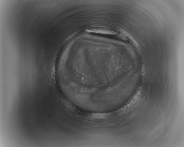 X0000102520825200809051441