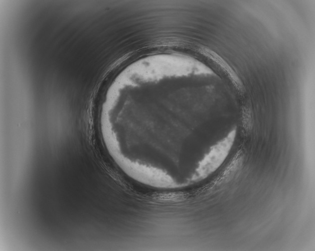 X0000102520826200809051441