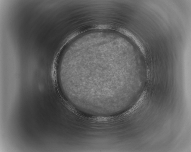 X0000102520827200809051441