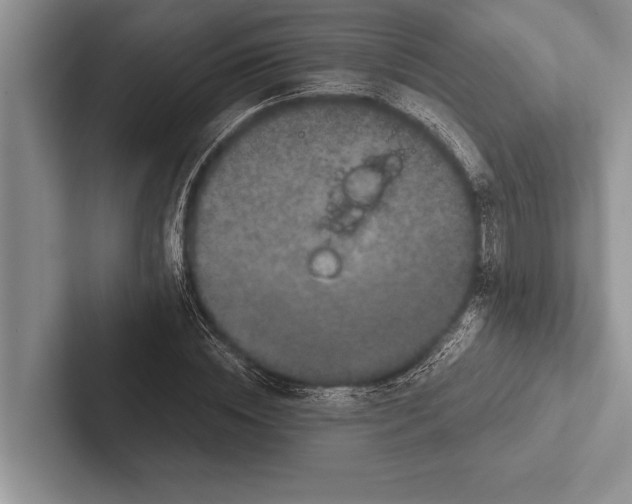 X0000102520828200809051441