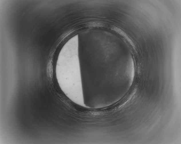 X0000102520829200809051441