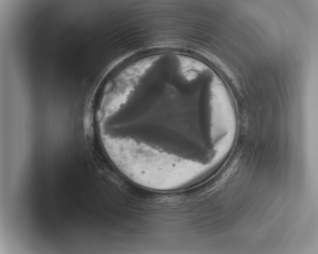 X0000102520830200809051441