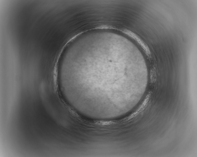 X0000102520831200809051441