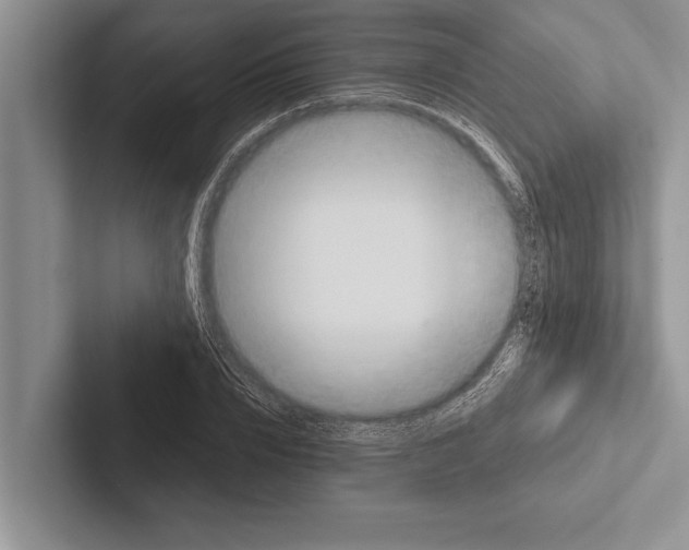 X0000102520832200809051441