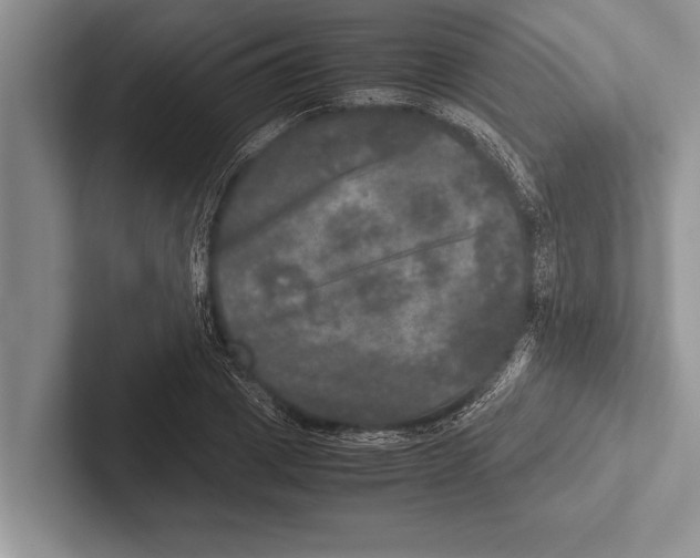 X0000102520833200809051441