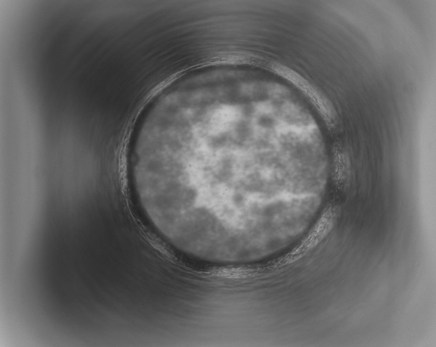 X0000102520834200809051441