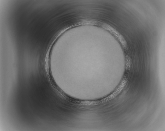 X0000102520836200809051441