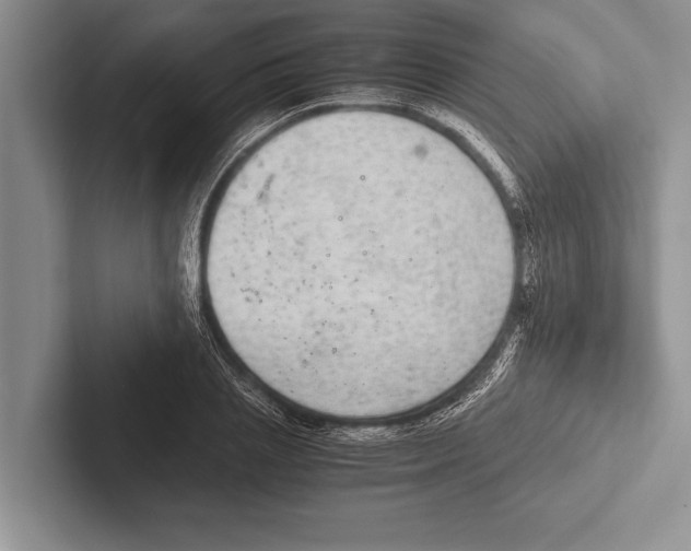 X0000102520837200809051441