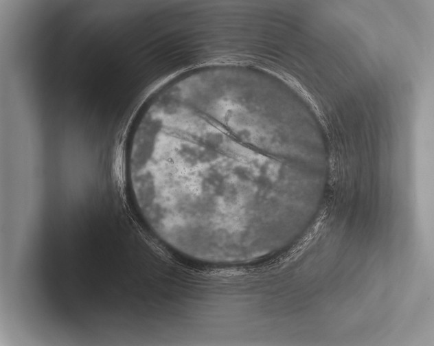 X0000102520838200809051441