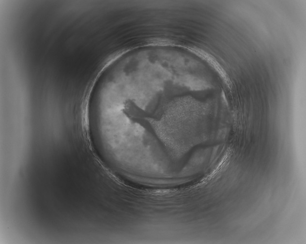 X0000102520839200809051441