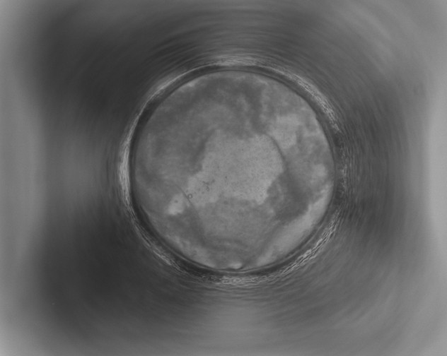 X0000102520840200809051441