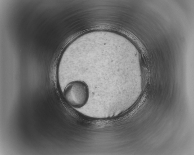 X0000102520842200809051441