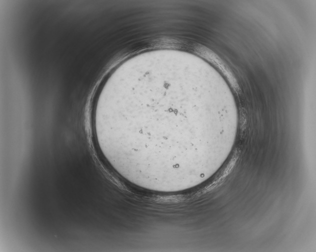 X0000102520843200809051441