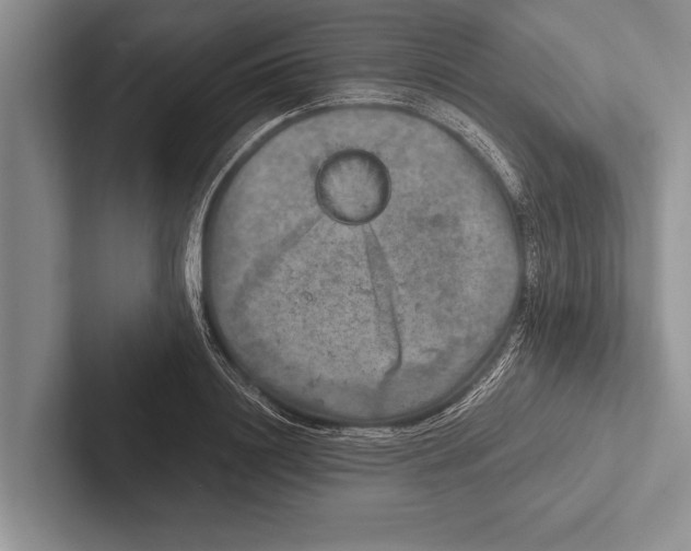 X0000102520844200809051441