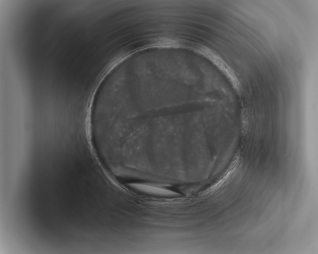 X0000102520845200809051441