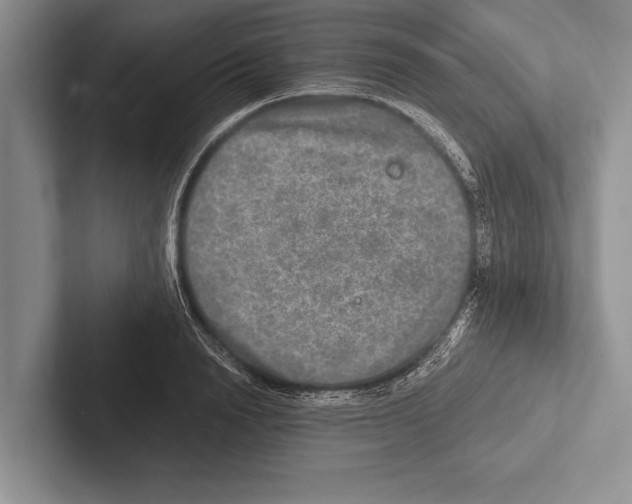 X0000102520846200809051441