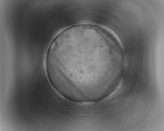 X0000102520847200809051441