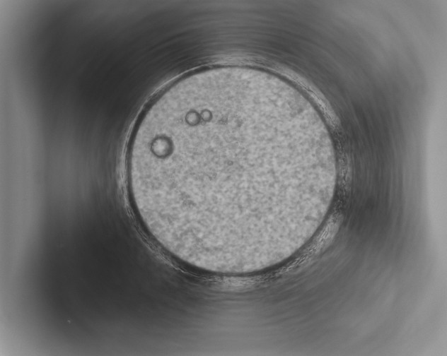 X0000102520848200809051441