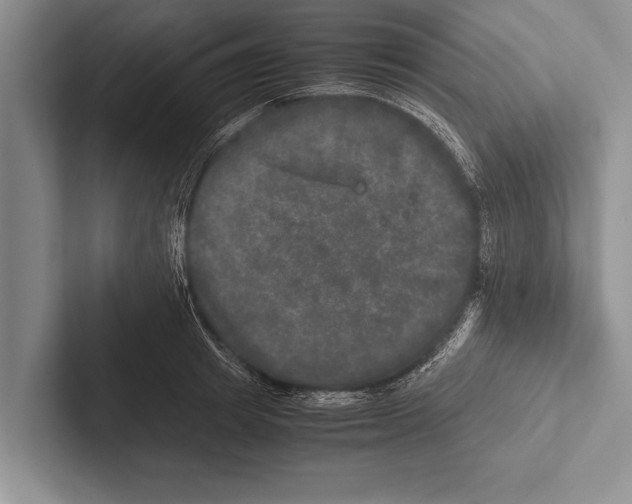 X0000102520849200809051441