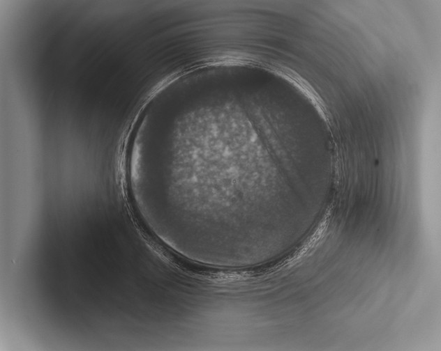 X0000102520850200809051441