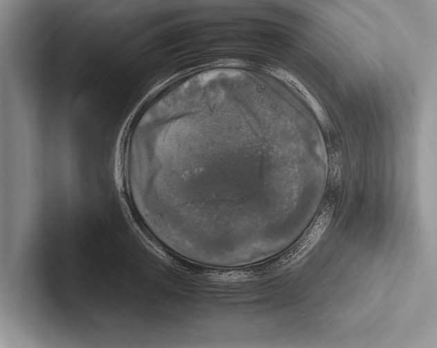 X0000102520851200809051441