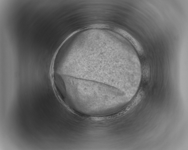 X0000102520852200809051442