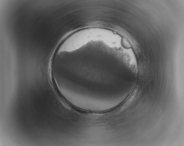 X0000102520854200809051442