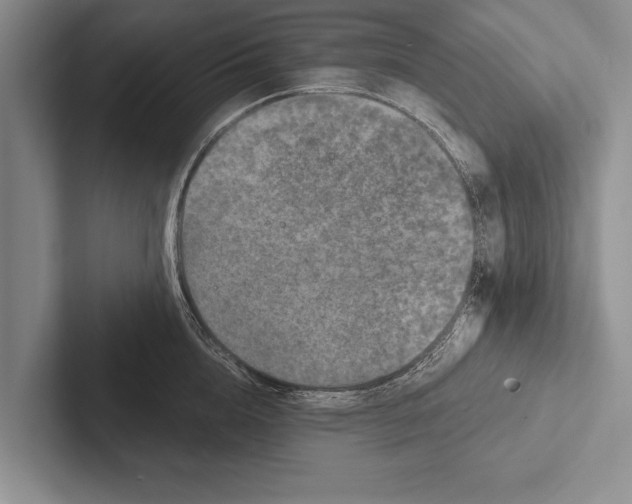 X0000102520856200809051442