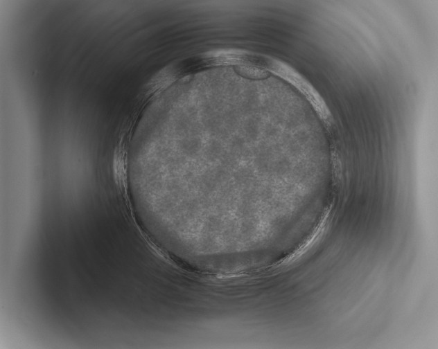 X0000102520857200809051442