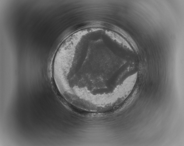 X0000102520858200809051442