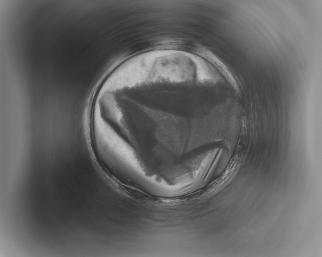 X0000102520859200809051442