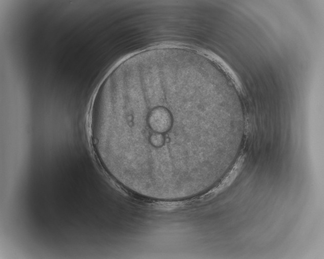 X0000102520860200809051442