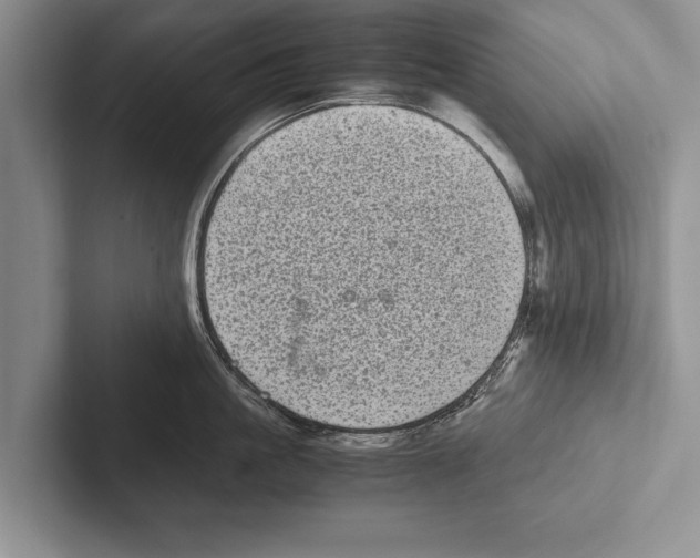 X0000102520861200809051442