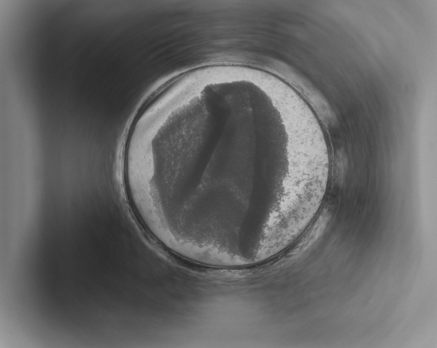 X0000102520862200809051442