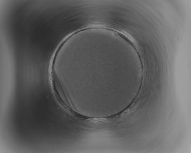 X0000102520864200809051442