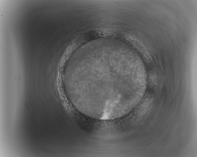 X0000102520865200809051441