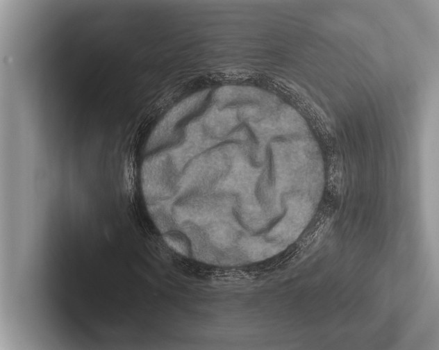 X0000102520866200809051441