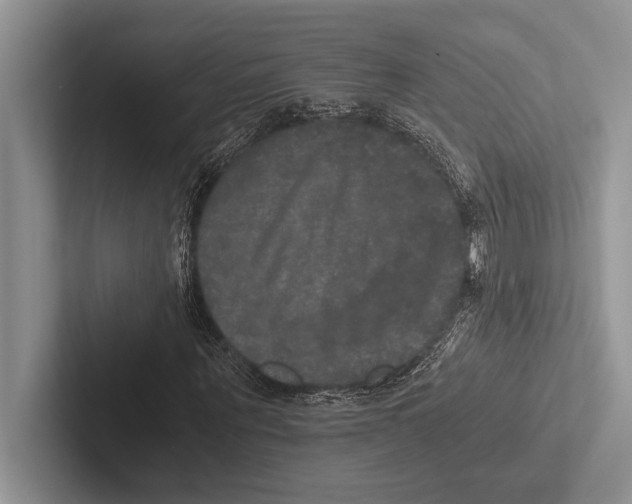 X0000102520867200809051441