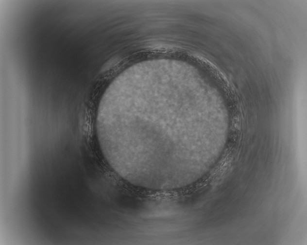 X0000102520869200809051441