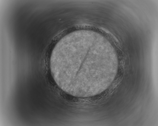 X0000102520870200809051441